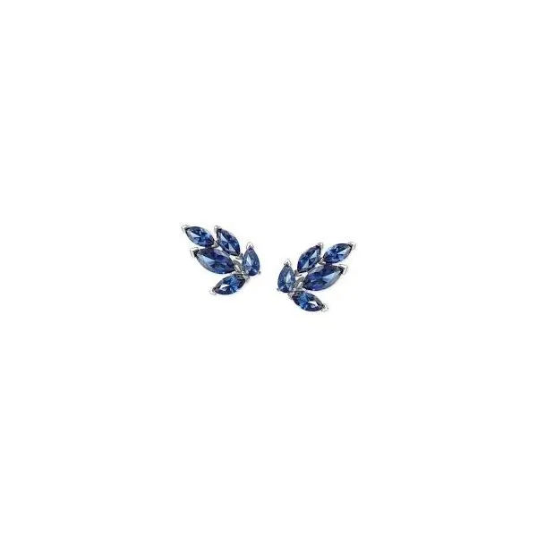 Swarovski Crystal Earrings Van Adams Jewelers Snellville, GA