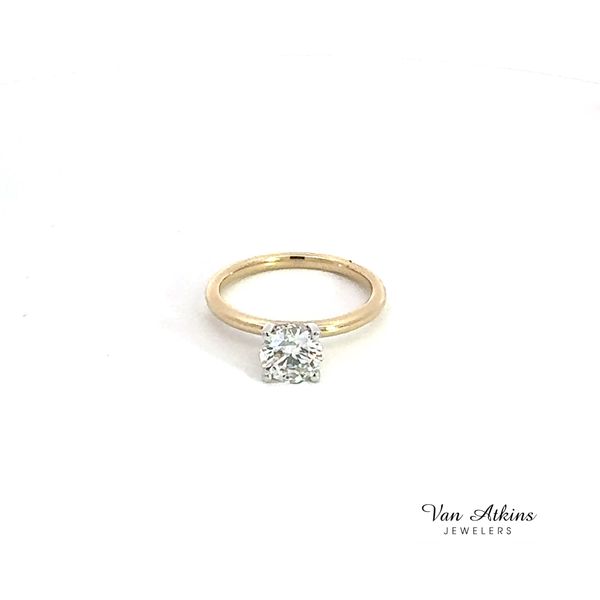 Lab Honey Van Atkins Jewelers New Albany, MS