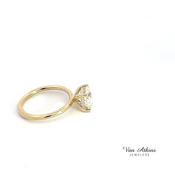 Lab Honey Image 3 Van Atkins Jewelers New Albany, MS