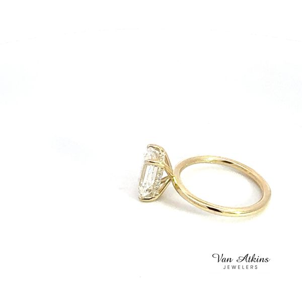 Lab Honey Image 2 Van Atkins Jewelers New Albany, MS