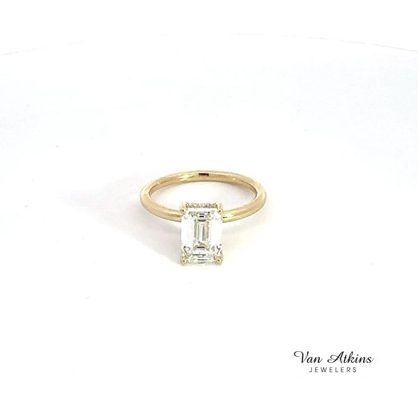 Lab Honey Van Atkins Jewelers New Albany, MS