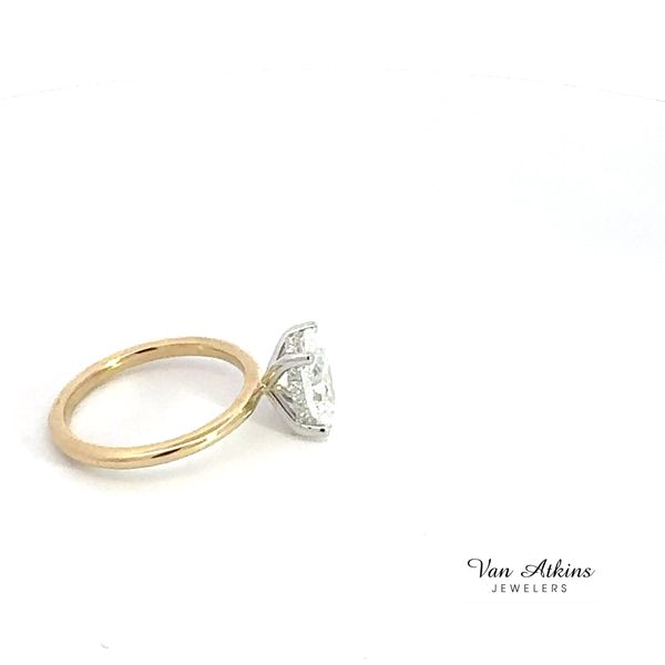 Lab Honey Image 3 Van Atkins Jewelers New Albany, MS