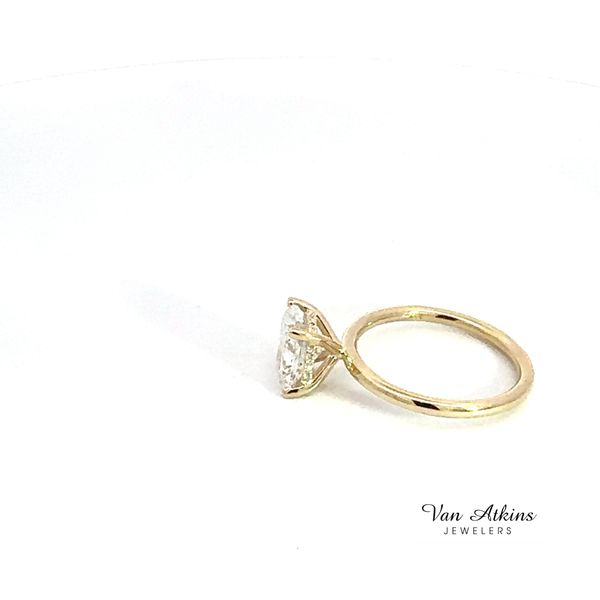 Lab Honey Image 3 Van Atkins Jewelers New Albany, MS