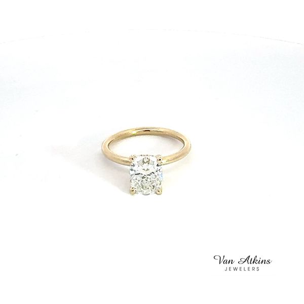 Lab Honey Van Atkins Jewelers New Albany, MS
