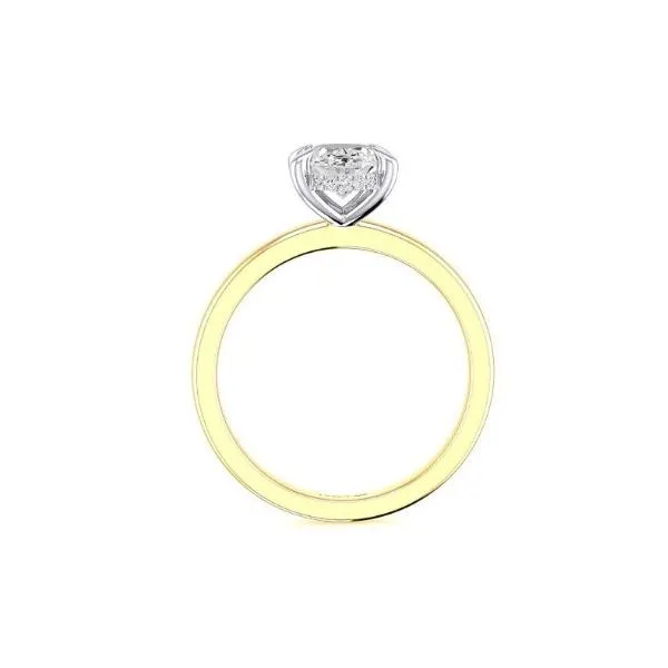 0.05 Carat Diamond Semi-Mount Rings Image 2 Van Atkins Jewelers New Albany, MS