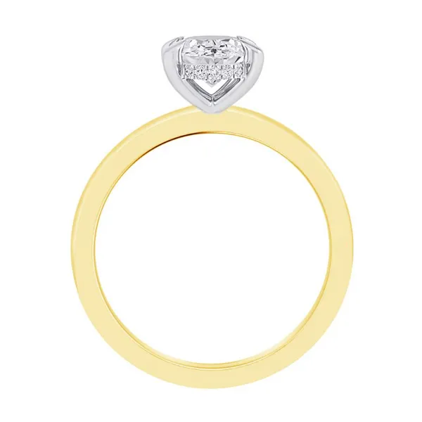 0.05 Carat Diamond Semi-Mount Rings for 1.50 carat oval Image 2 Van Atkins Jewelers New Albany, MS