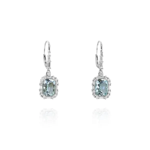 4.87 Carat Color Stone Earrings Image 2 Van Atkins Jewelers New Albany, MS