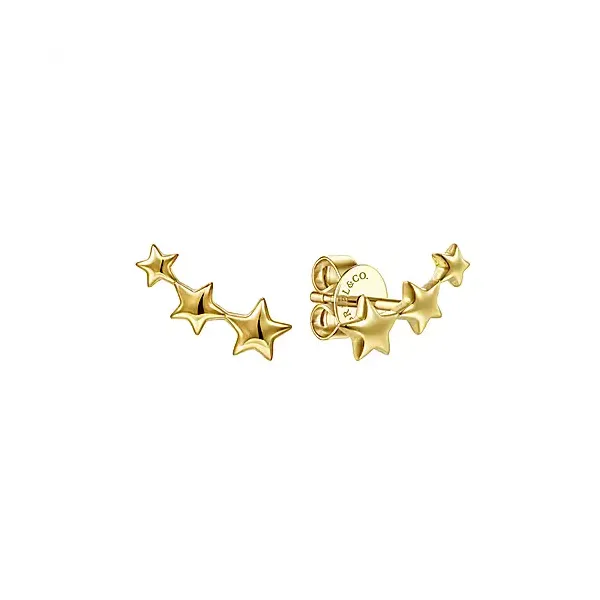 Precious Metal (No Stones) Earrings Van Atkins Jewelers New Albany, MS