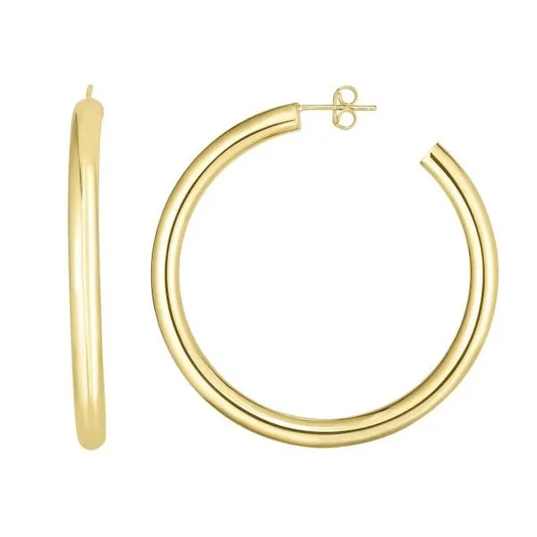 Precious Metal (No Stones) Earrings Van Atkins Jewelers New Albany, MS