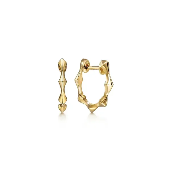 Precious Metal (No Stones) Earrings Van Atkins Jewelers New Albany, MS