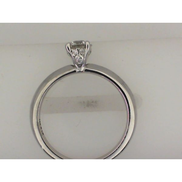 14K White Gold Round Diamond Solitaire Engagement Ring Image 2 Vandenbergs Fine Jewellery Winnipeg, MB