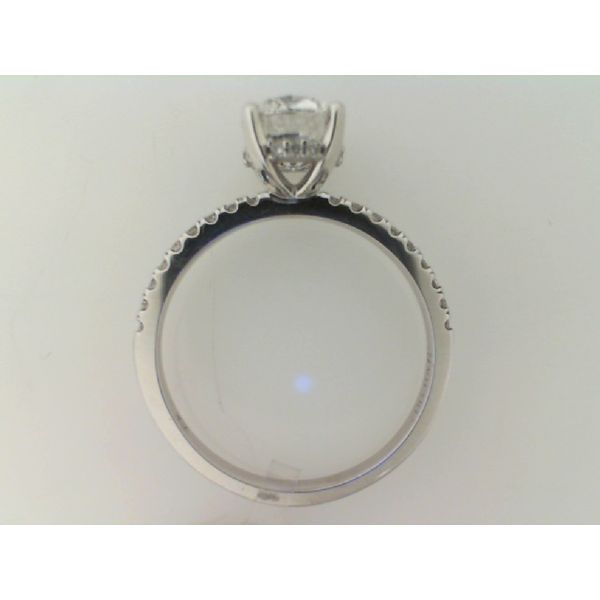 14K Whitw Gold Diamond Engagement Ring Image 2 Vandenbergs Fine Jewellery Winnipeg, MB