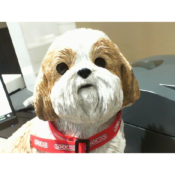 Life Size Shih Tzu Sculpture Vandenbergs Fine Jewellery Winnipeg, MB