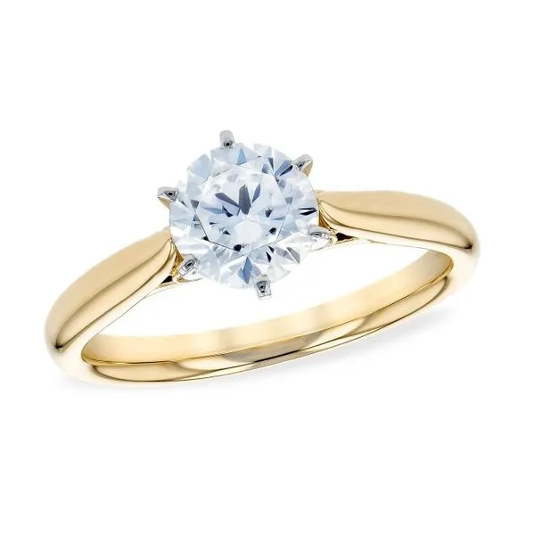 Ring Van Horn Jewelers Owego, NY