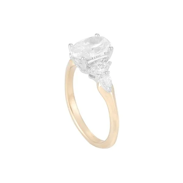 Ring Van Horn Jewelers Owego, NY