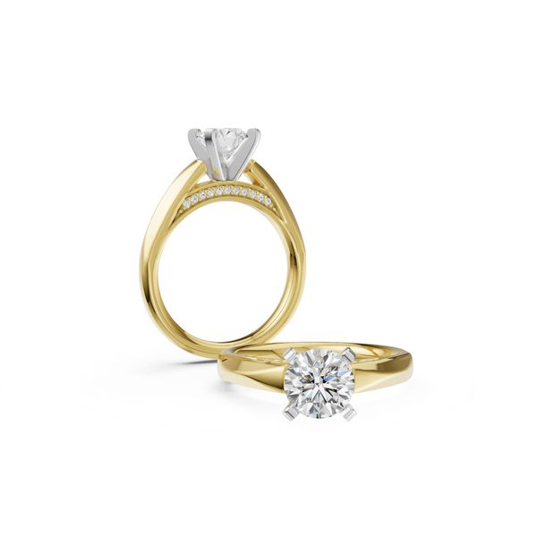 Ring Van Horn Jewelers Owego, NY