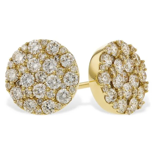 Earrings Van Horn Jewelers Owego, NY
