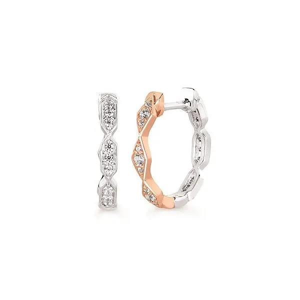 Earrings Van Horn Jewelers Owego, NY
