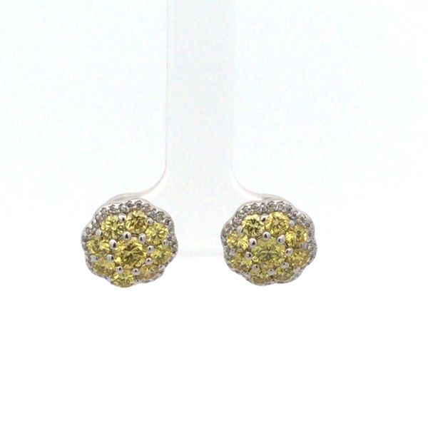 Earrings Van Horn Jewelers Owego, NY