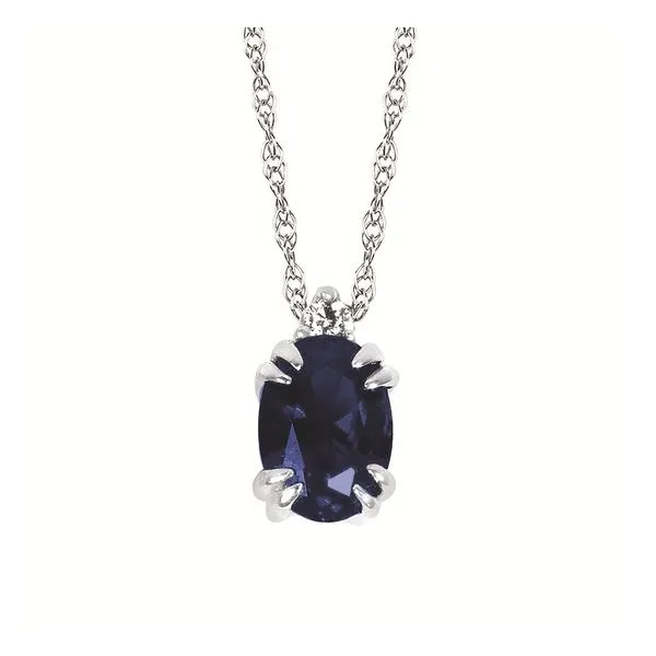 Pendant Van Horn Jewelers Owego, NY