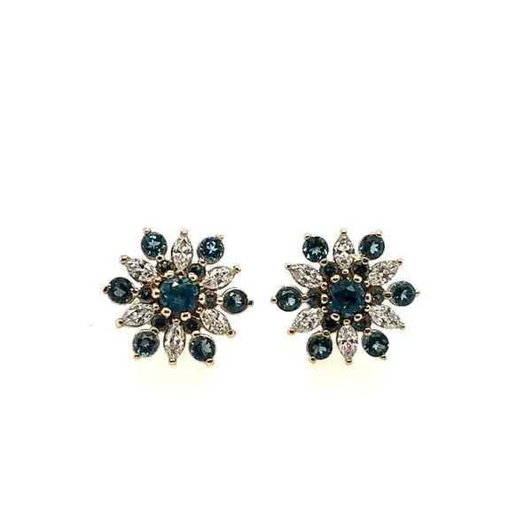 Earrings Van Horn Jewelers Owego, NY