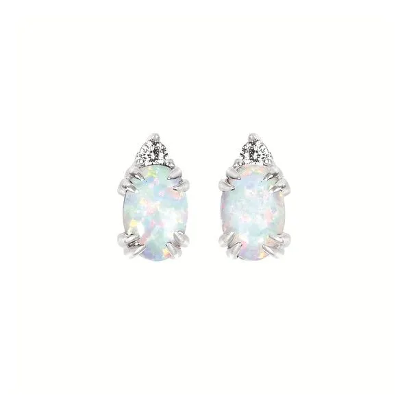 Earrings Van Horn Jewelers Owego, NY