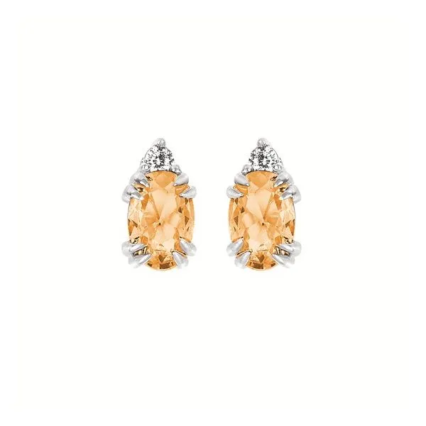 Earrings Van Horn Jewelers Owego, NY