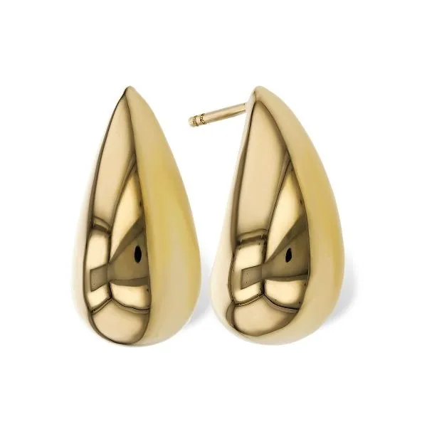Earrings Van Horn Jewelers Owego, NY