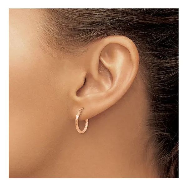 Earrings Image 2 Van Horn Jewelers Owego, NY