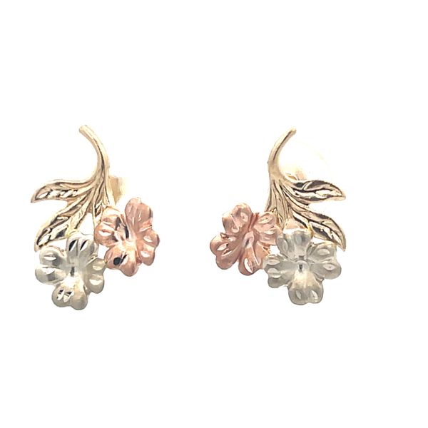 Earrings Van Horn Jewelers Owego, NY