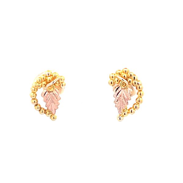 Earrings Van Horn Jewelers Owego, NY