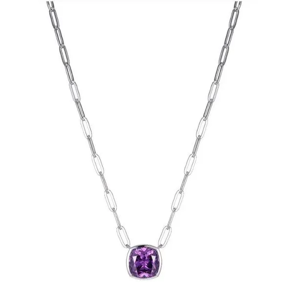 Sterlling Necklace or Meddalion Van Horn Jewelers Owego, NY