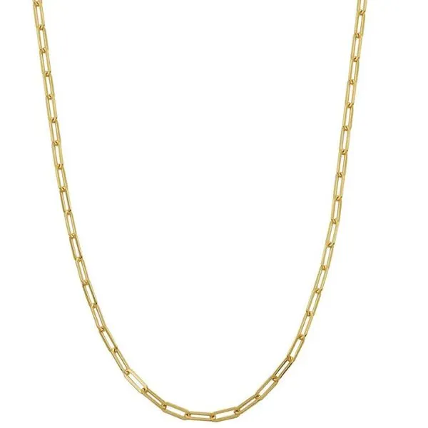 Sterlling Necklace or Meddalion Van Horn Jewelers Owego, NY