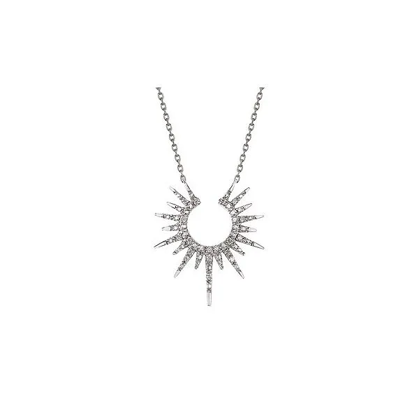 Sterlling Necklace or Meddalion Van Horn Jewelers Owego, NY
