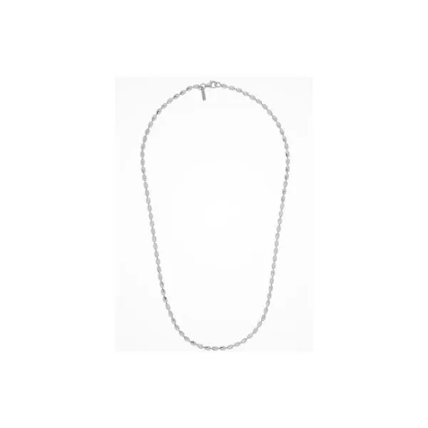 Sterlling Necklace or Meddalion Van Horn Jewelers Owego, NY