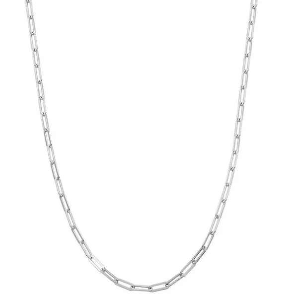 Sterlling Necklace or Meddalion Van Horn Jewelers Owego, NY