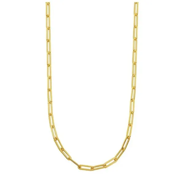 Sterlling Necklace or Meddalion Van Horn Jewelers Owego, NY