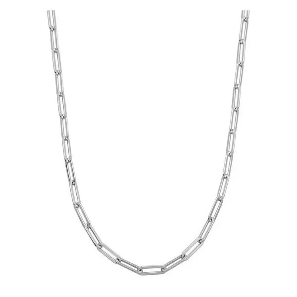 Sterlling Necklace or Meddalion Van Horn Jewelers Owego, NY