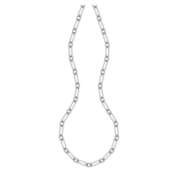 Sterlling Necklace or Meddalion Van Horn Jewelers Owego, NY