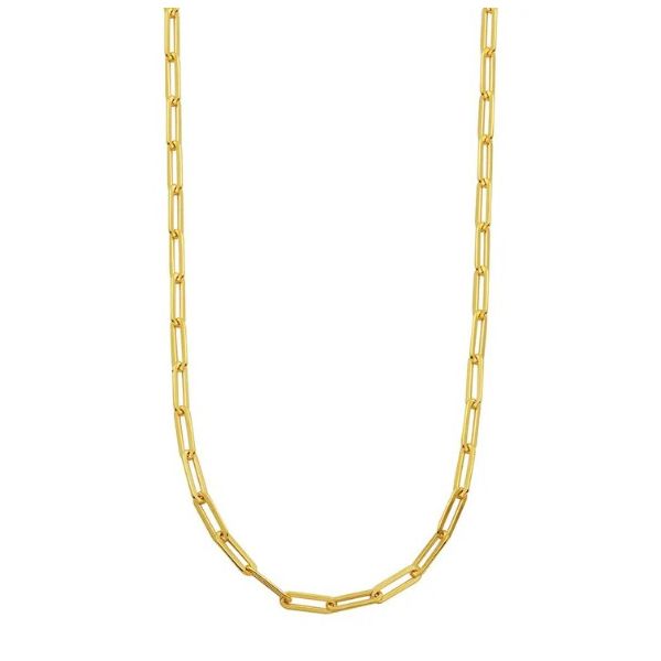 Sterlling Necklace or Meddalion Van Horn Jewelers Owego, NY