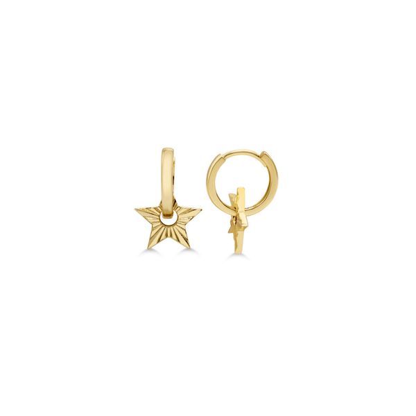 Earrings Van Horn Jewelers Owego, NY