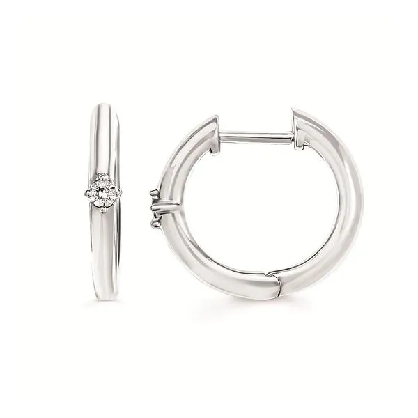 SS Earrings with Stones Van Horn Jewelers Owego, NY