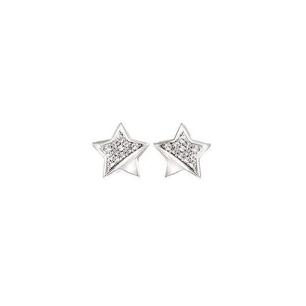 SS Earrings with Stones Van Horn Jewelers Owego, NY