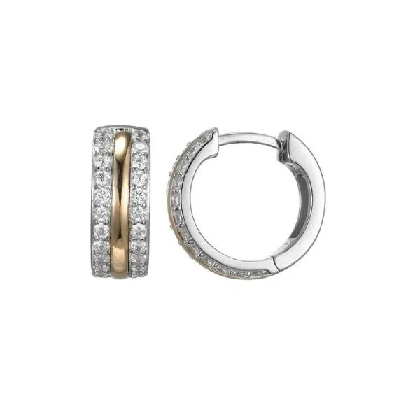 SS Earrings with Stones Van Horn Jewelers Owego, NY