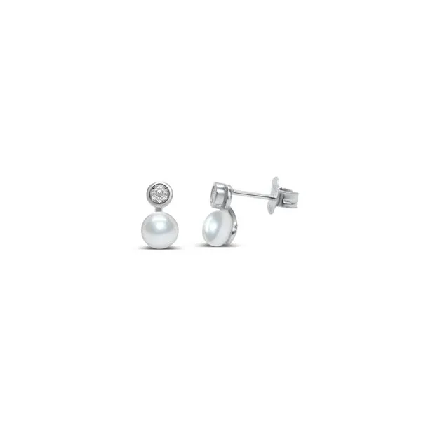 SS Earrings with Stones Van Horn Jewelers Owego, NY