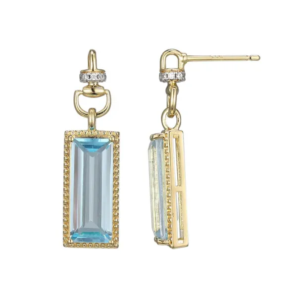 SS Earrings with Stones Van Horn Jewelers Owego, NY