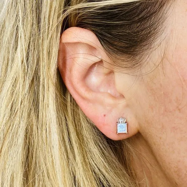SS Earrings with Stones Image 2 Van Horn Jewelers Owego, NY