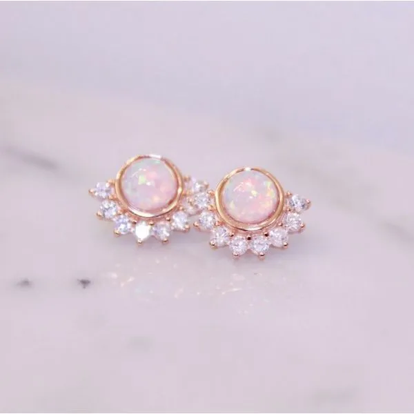 SS Earrings with Stones Van Horn Jewelers Owego, NY