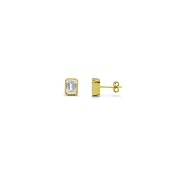 SS Earrings with Stones Van Horn Jewelers Owego, NY