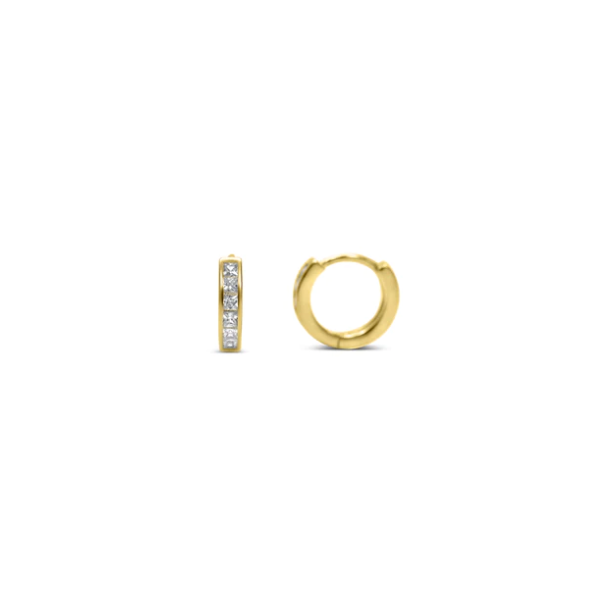 SS Earrings with Stones Van Horn Jewelers Owego, NY